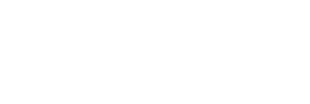 the wild company
